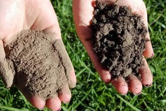 نقش گچ کشاورزی در خاک زراعی