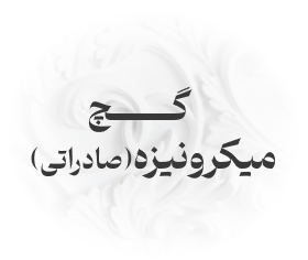 گچ میکرونیزه صادراتی